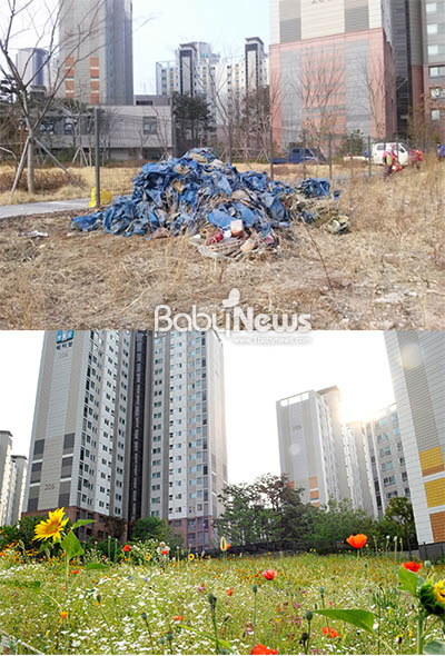 서울시, ‘천 개의 숲, 천 개의 정원’ 조성