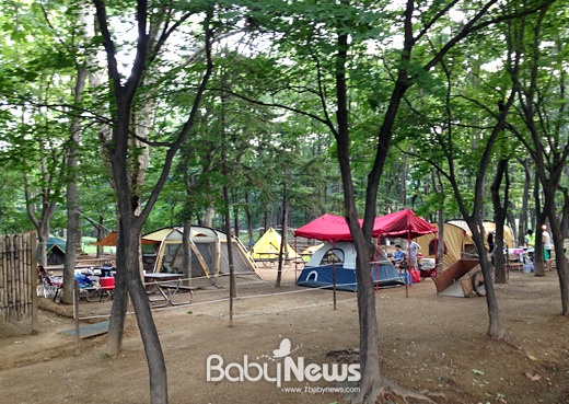 올 여름, 도심에서 캠핑 즐기고 싶다면?