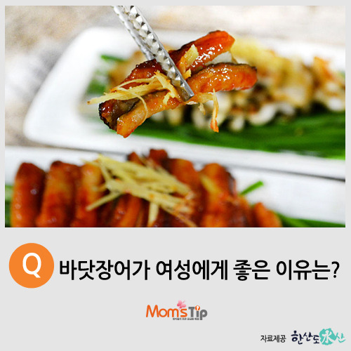 [맘스팁] 바닷장어가 여성에게 좋은 이유는?