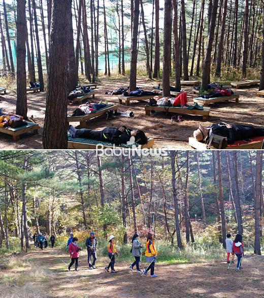 우리 아이 정신 건강은 오대산 힐링 숲속에서