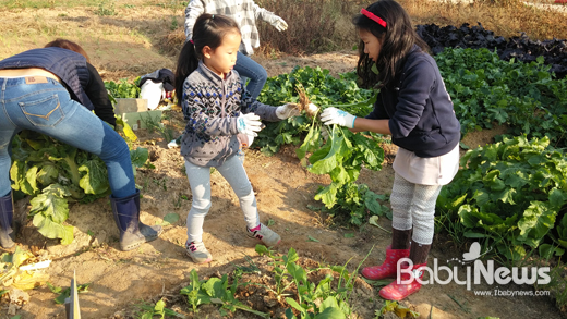 수원시농업기술센터 어린이 농부학교 입학식 열어