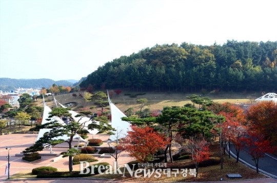 ‘공원녹지시설 안전관리 종합대책’ 수립 시행