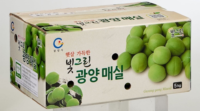 롯데마트, 매실 시즌맞이 기념 예약 판매 진행