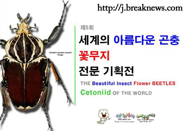 부안누에타운 내년 5월까지 전문기획전 개최
