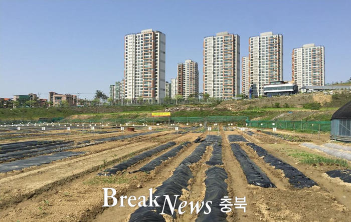 청주시, 인구 100만 늘리기 본격가동