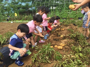 부평구, 도시농부 첫걸음 텃밭 분양 신청 받는다.