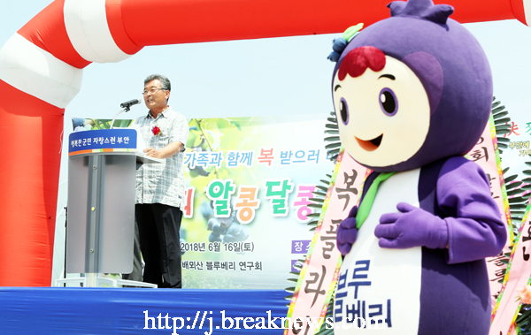 부안군 알콩달콩 블루베리 축제 개최