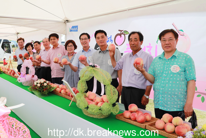 맛·향·색 우수 영덕복숭아 백가쟁명 품평회