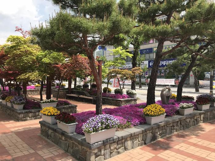 경주시,‘사시사철 꽃가꾸기 사업’ 대대적 추진