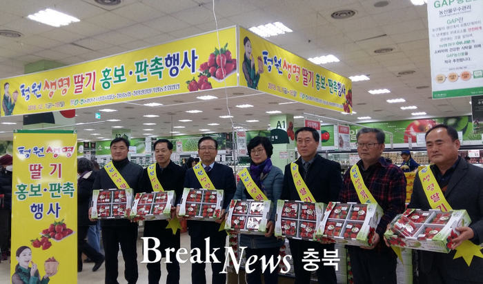 청주시, 청원생명딸기 판촉 특별행사 진행