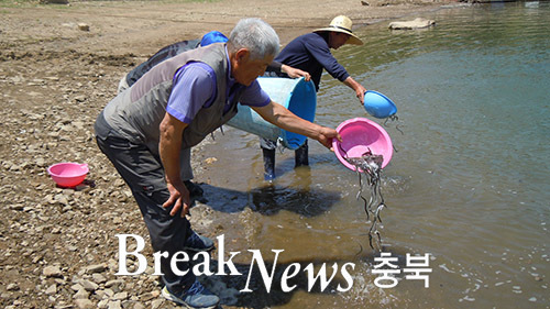 충주시, 1억1700만원-수산종자 방류사업 추진