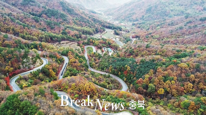 영동군, 산림자원 개발 본격화..귀산촌인 지원
