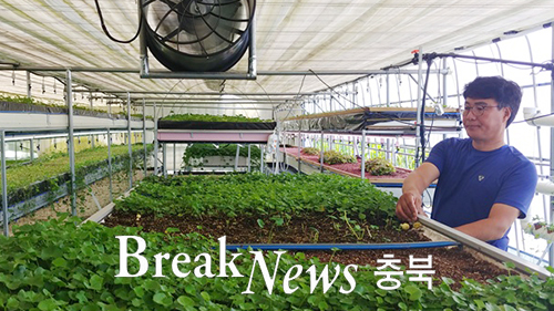 센텔라병풀농원 충주에 병풀 특성화 지역만들고 싶다