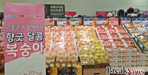 고흥 복숭아 10톤 롯데마트․슈퍼 납품, 불티나네
