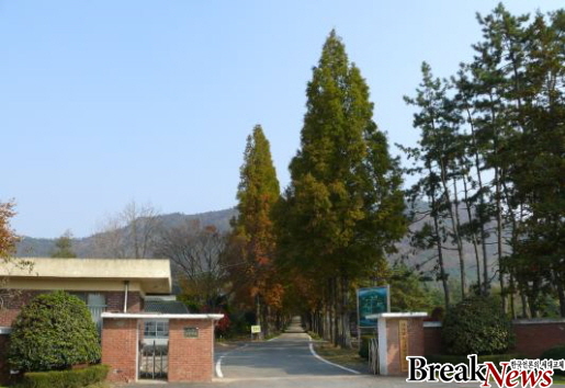 전남도, 황칠 성분 포함 ‘쌀국수 제조기술’ 이전