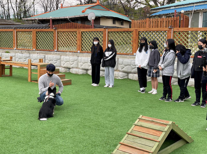 영동 담뿍사회적협동조합, 애견카페 ‘플레이그라운드’ 운영