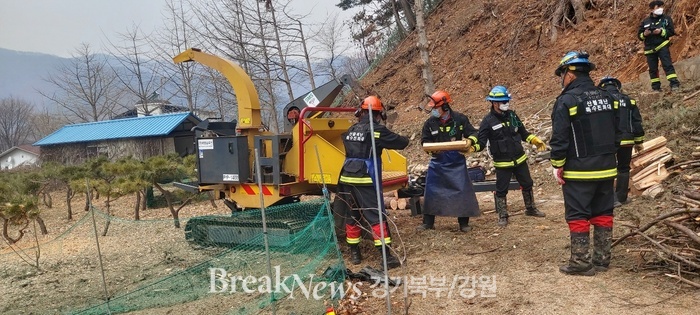 북부지방산림청, 소나무재선충병 피해고사목 방제사업과 예방활동 실시