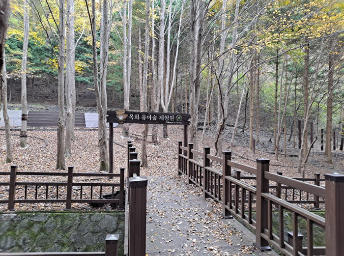 청주시, 옥화자연휴양림 숲체험 3471명 이용
