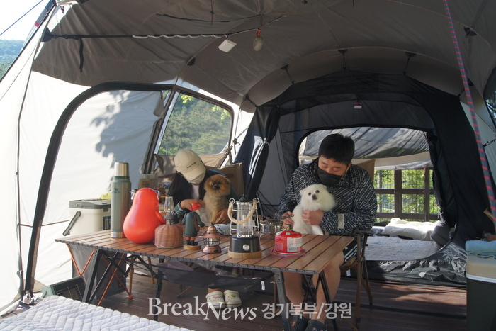 국립자연휴양림관리소, 국립화천숲속야영장의 반려견 동반 데크의 운영