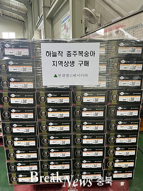 현대엘리베이터(주), 충주 복숭아 2900세트 구매