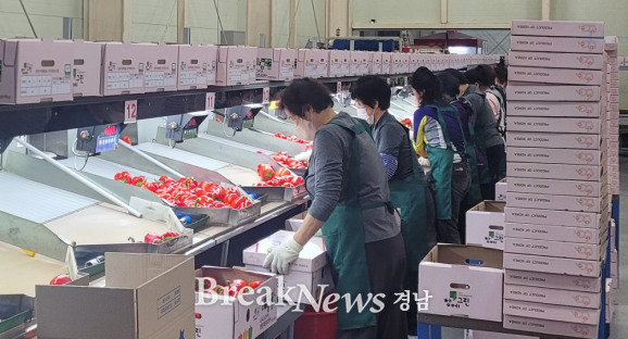 창원특례시, ‘창에그린’ 브랜드 가치 높인다