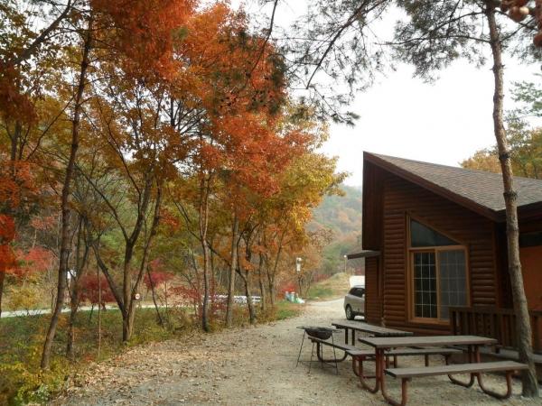 국립용현자연휴양림 숲속 가을음악회 개최