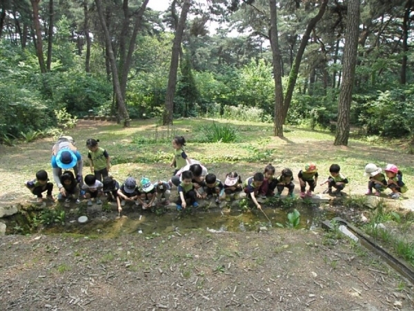 유아숲체험원, 규제개선으로 우린 자연에서 수업해요