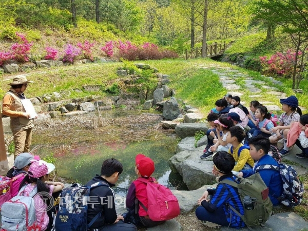 숲이 전하는 이야기 들으며 힐링 해요