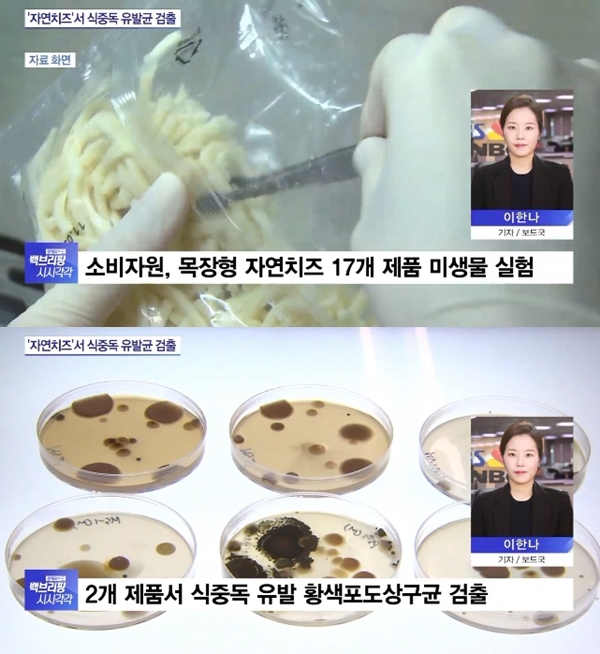 목장형 자연치즈에서 복통과 구토 따위의 증상을 유발하는 균이 나왔다?...믿고 먹었는데 어떻게 이런 일이...
