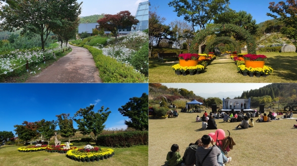 영인산자연휴양림, 가을 숲과 국화 보러 오세요