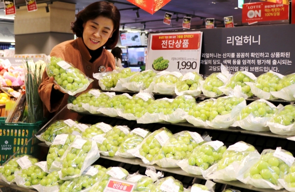 롯데슈퍼 엑스포점, 고당도 샤인머스켓 먹어볼까