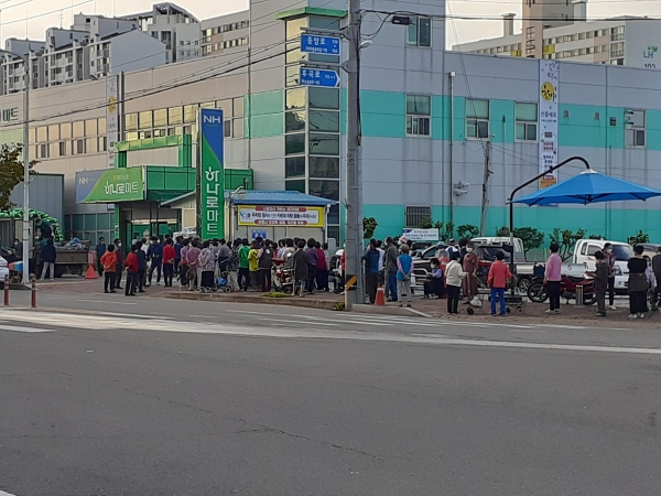 태안농협 하나로마트, 배추 1000망 깜짝 세일