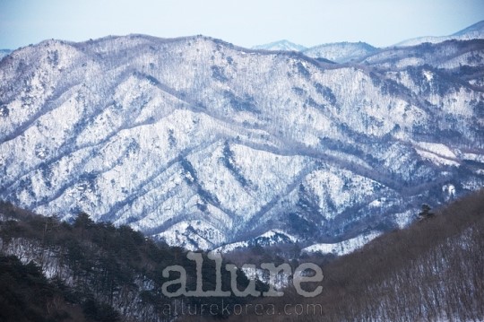 어떻게 최고의 커피 도시가 됐을까? 강릉 가는 길