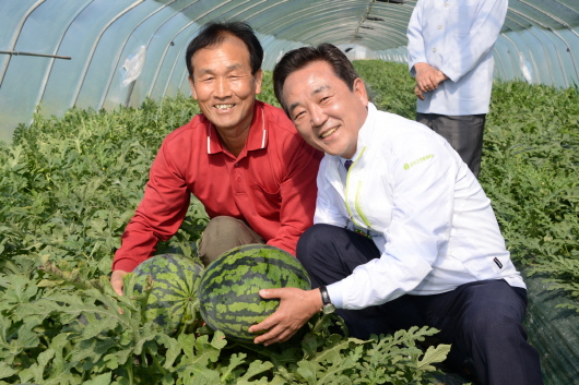 달성군,  옥포수박 본격 출하