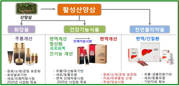경남도, 산양삼 소재 기술개발사업 본격 추진