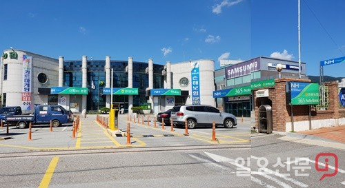 양평농협, 하나로마트에 이어 본점·지점도 불법광고물 천국