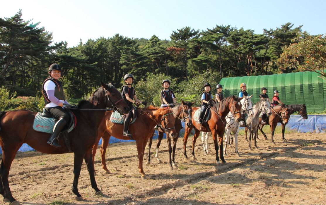 김해시, 초·중·고 학생승마체험 사업 실시