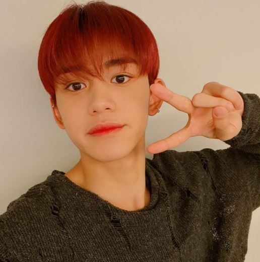 NCT 루카스 활동중단, 꽃뱀-양다리 논란 사과+모든 콘텐츠 공개 중단