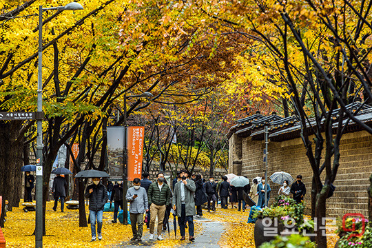 비오는 날의 산책