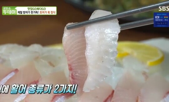 생방송 투데이 맛있Go 싸다Go, 인천 9000원 회정식 방어, 매운탕, 알밥까지