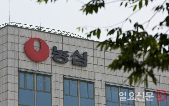 농심 대만 수출용 신라면서 유해물질 검출…“발암물질 아냐”