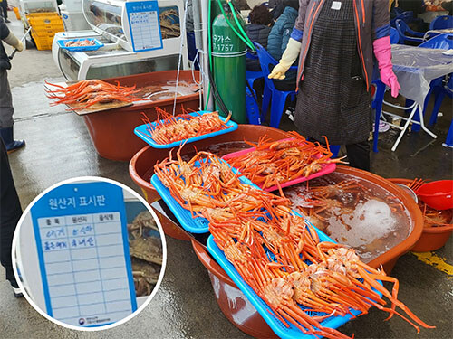 영덕·울진 대게축제…대게 없는 대게축제 관광객들 불만 터져 나와