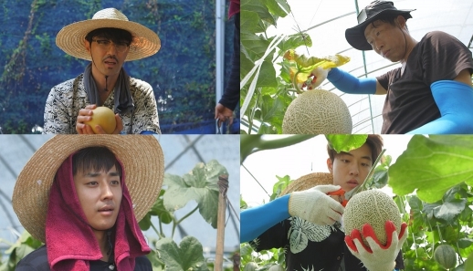 삼시세끼-고창편 뒷이야기? 16일 시즌 마무리하는 감독판 방영