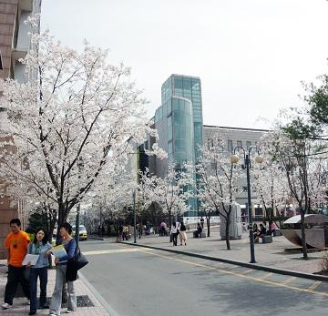 국민대학교레저산업학•석사융합과정신·편입생모집