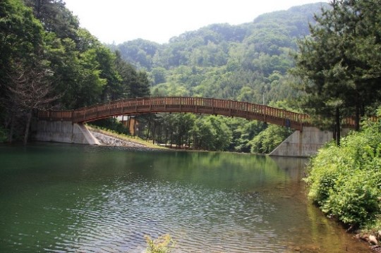 고산자연휴양림, 칼봉산자연휴양림 7월 예약 개시…홈페이지 접속 폭주