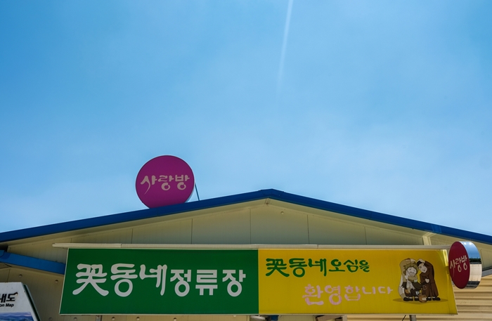 [천막사진관] 고개를 들렴  넌 별이란다