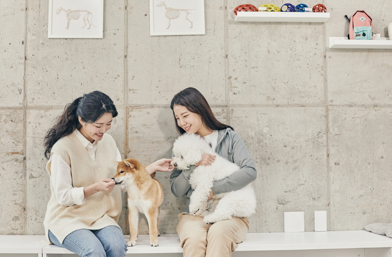 댕댕이 소리까지 분석하는 시대