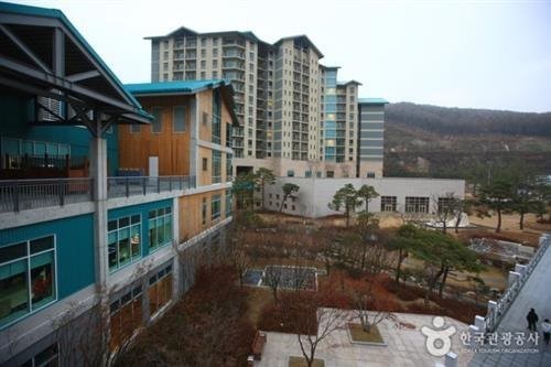 더포레스트 연지곤지점