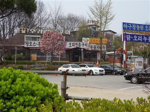 안산 맛집을 찾아서 _ 오리요리 전문점 ‘야구장농원’