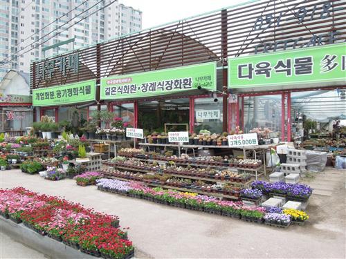화초 가꾸기 마니아들의 즐겨 찾기 대화마을 ‘나무카페’
